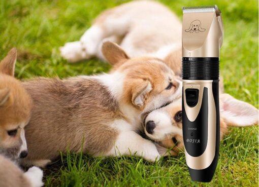 Pet shaving machine - Image 4