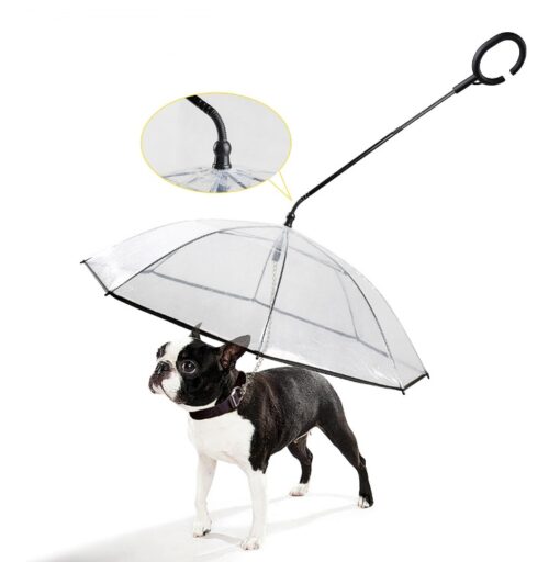 Pet C Type Umbrella