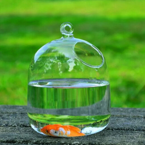 Transparent glass handmade fish tank - Image 2