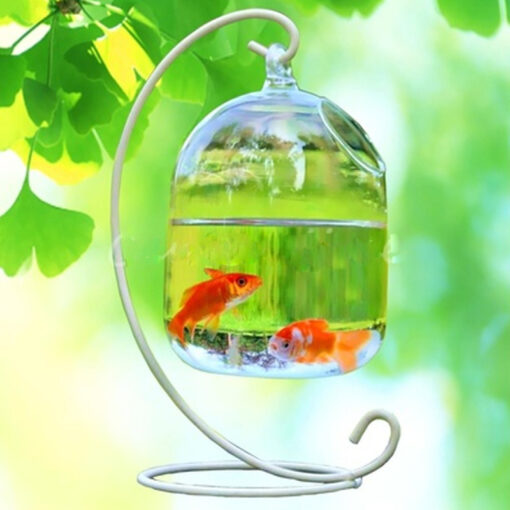 Transparent glass handmade fish tank - Image 5