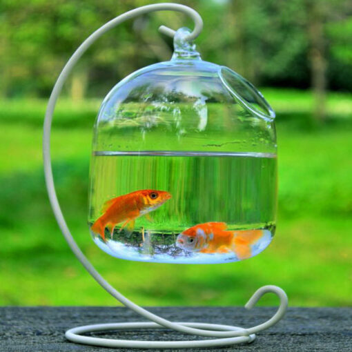 Transparent glass handmade fish tank