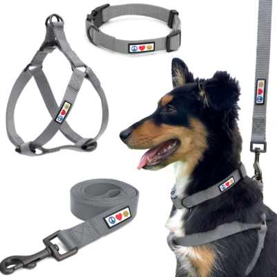 Collars, Leashes & Harnesses